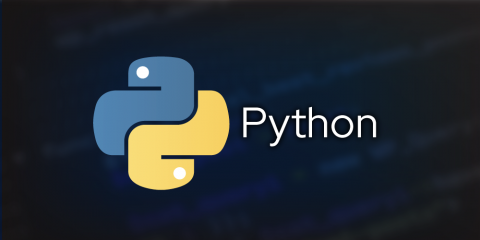 Python logo image