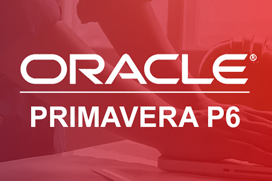 primevera software image
